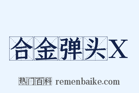 合金弹头X是什么意思的图片